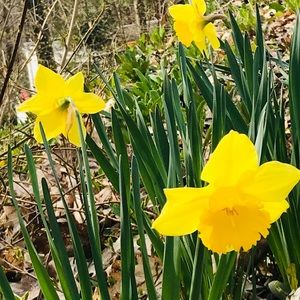 Meet your Posher, Bryanne